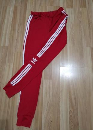 Брюки, хит лето 2023