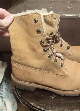 Жіночі теплі зимові черевики від timberland. розмір 413 фото