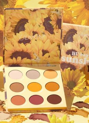 Палетка тіней colourpop lil ray of sunshine