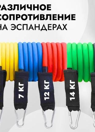 Эспандер резина для зарядок exercise pipe, эспандер резиновый жгут упражнения, фитнес резинки 5 в 12 фото