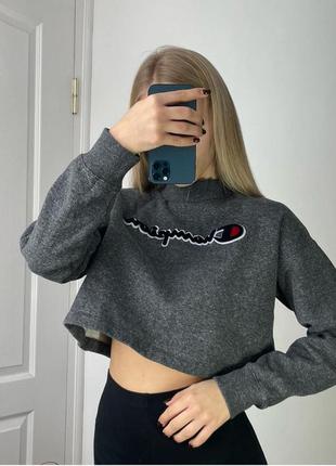 Світшот chempion тедді лого 4