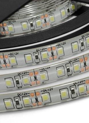 Світлодіодна led стрічка prolum™ 12v; 2835120; ip65; series "sg", білий (5500-6000к)