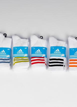 Набір ( 3 шт.) чоловічих шкарпеток бренду adidas. високі, з кольоровими полосками. training