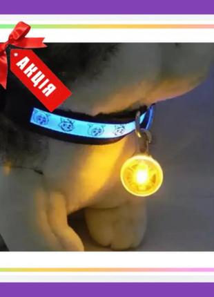Світлодіодний led ліхтарик для собак на нашийник брелок ліхтарик для ключів, сумок, рюкзаків