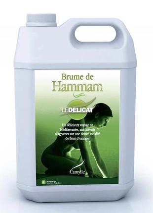 Ароматизатор (эмульсия) для хаммама brume de hammam - деликатный 5,0л
