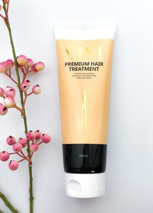 Протеиновая маска для волос esthetic house cp-1 premium hair withment