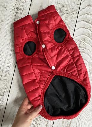 Жилетка для собаки