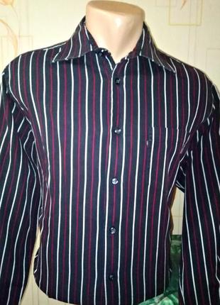Стильна сорочка в смужку lerros man, 💯 оригінал, блискавичне надсилання