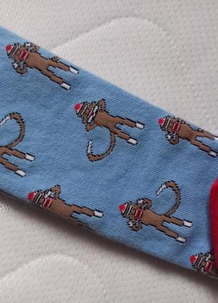 Yo-sox фірмові прикольні високі бавовняні шкарпетки панчохи мартишки мавпи4 фото