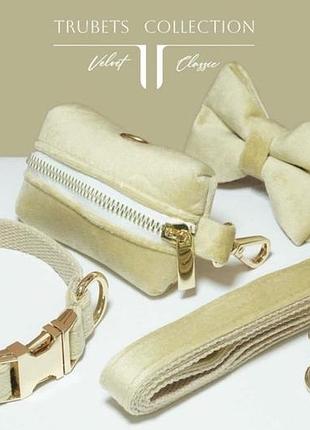 Комплект ошейник для собаки + поводок + бабочка + сумочка (именной)