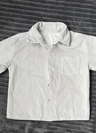 Сорочка вельветова рубашка 12-18 міс