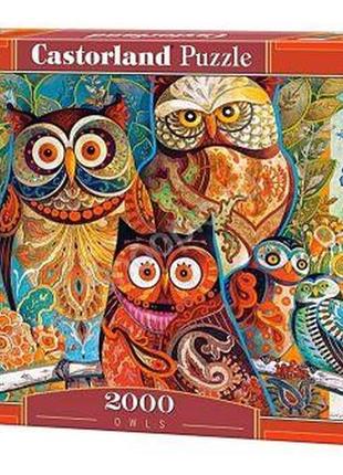 Пазлы "совы художника", 2000 эл от lamatoys