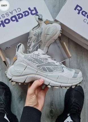 Мужские кроссовки reebok zig kinetica ii edge gore-tex light grey