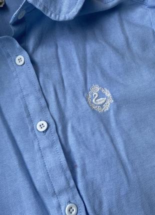 Классная рубашка офисная голубая размер s2 фото