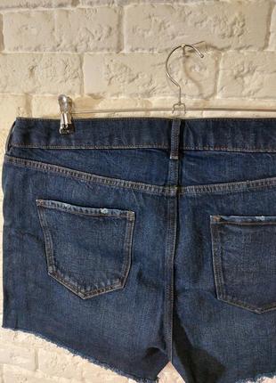 Фірмові джинсові шорти xl5 фото