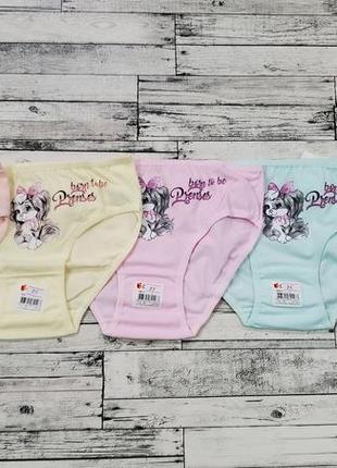 Трусики donella р.8/9