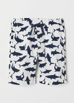 Шорті нм з акулами в розмірі 4-5 та 5-6