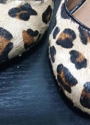 Шкіряні туфлі, леопардовий принт.2 фото