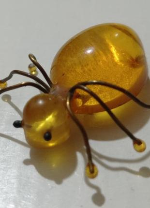 Янтарь, брошь