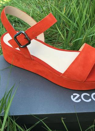 Женские босоножки ecco plateau sandal 209013 056041 фото