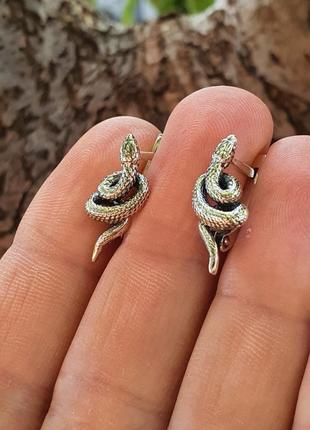Сережки у вигляді змії із срібла2 фото