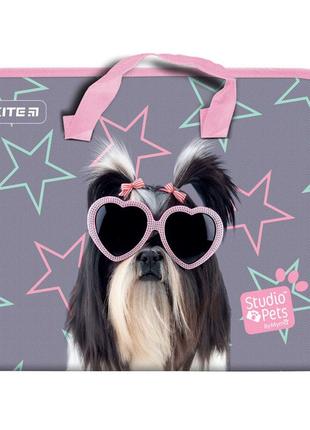 Папка-портфель на блискавці kite studio pets sp21-202, 1 відділення, a4