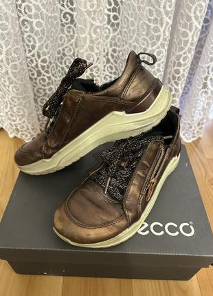 Черевики ecco