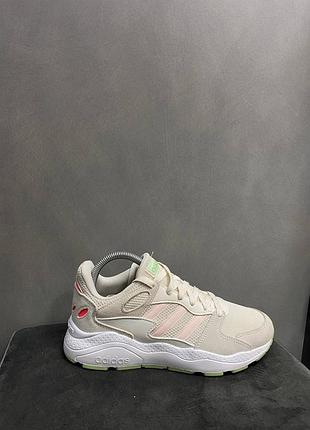Adidas crazychaos