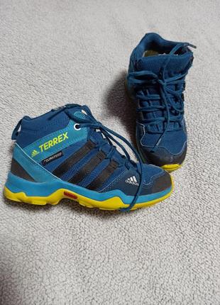 Ботинки/кроссовки adidas terrex1 фото