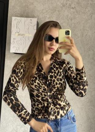 Блуза zara леопардовый принт4 фото