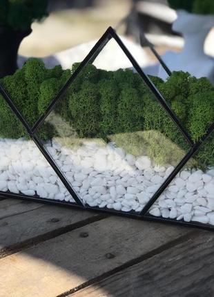 Мосариум из финского премиум мхом