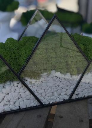 Мосариум из финского премиум мхом