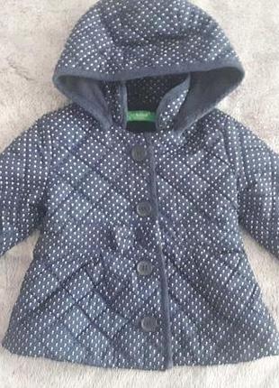 Курточка на девочку cichlid