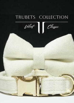 Именной ошейник + поводок + бант + сумка для больших и мелких собак3 фото