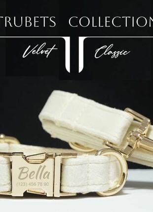 Именной ошейник + поводок + бант + сумка для больших и мелких собак2 фото