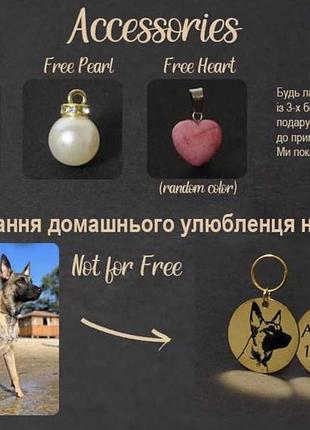 Именной ошейник + поводок + бант + сумка для больших и мелких собак7 фото