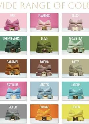 Именной ошейник + поводок + бант + сумка для больших и мелких собак5 фото