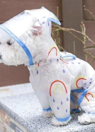 Дощовик на невеликого песика