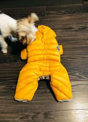 Куртка на собаку, собачий одяг3 фото