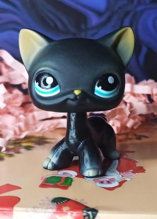 Lps кошка