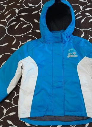 Куртка зимняя лыжная на девочку 5-6 лет, фирмы lupilu1 фото
