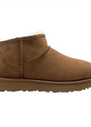 Ugg mini. оригинал