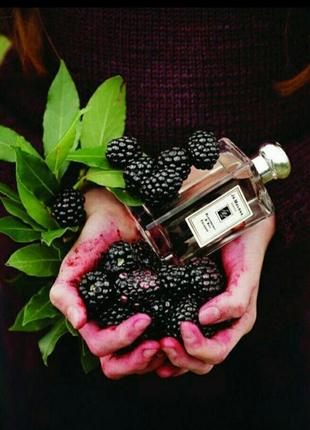 Blackberry & bay jo malone 5 ml cologne 🍇🍇🍇