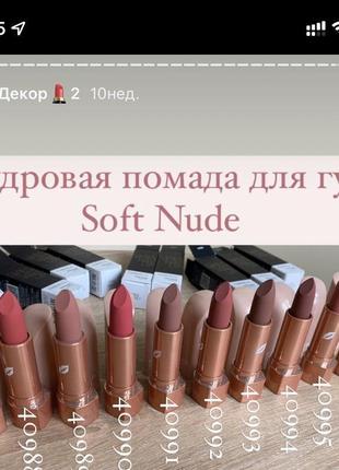 Пудровая помада для губ soft nude (40987-40995)3 фото