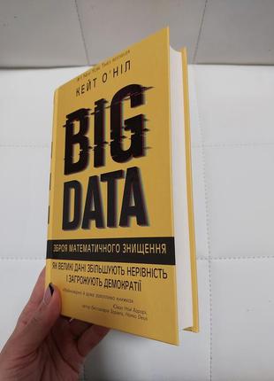 Big data, кейт о'ніл