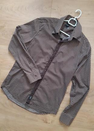 Стильная мужская рубашка в мелкий горошек sorbino1 фото