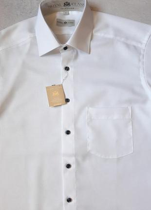 Мужская белая рубашка с коротким рукавом royal class xl7 фото