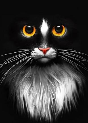 Набор алмазной мозаики вышивки взгляд кота в темноте черный кот кошка полная 5d наборы 30х40 см1 фото