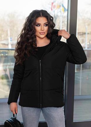 Куртка весна батал на молнии с капюшоном  рукав прямой врезные карманы ткань плащевка канада синтепон 100 подклад