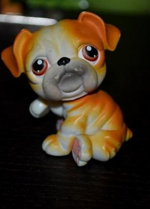 Петс шопы pets shop игрушки зоомагазин littlest pet shop lps стоячки